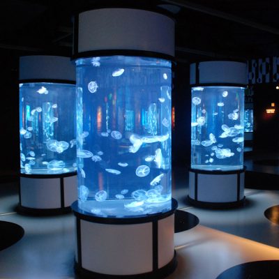 jellyfish-aquariums